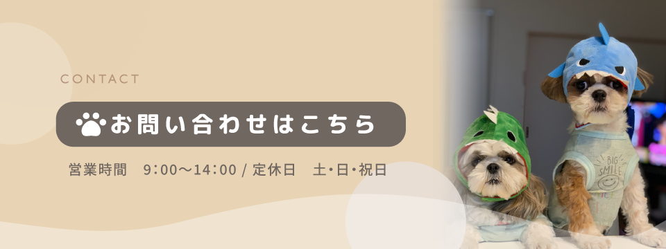 お問い合わせはこちら