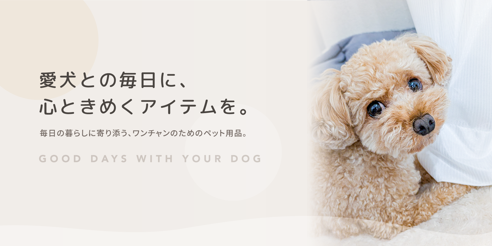 Avenir（アヴニール）は、犬用のペット用品や日用品を取り扱うオンラインショップです。